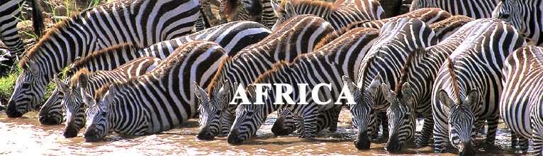 Africa