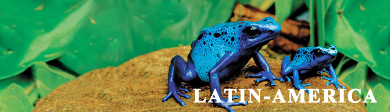 Latin America
